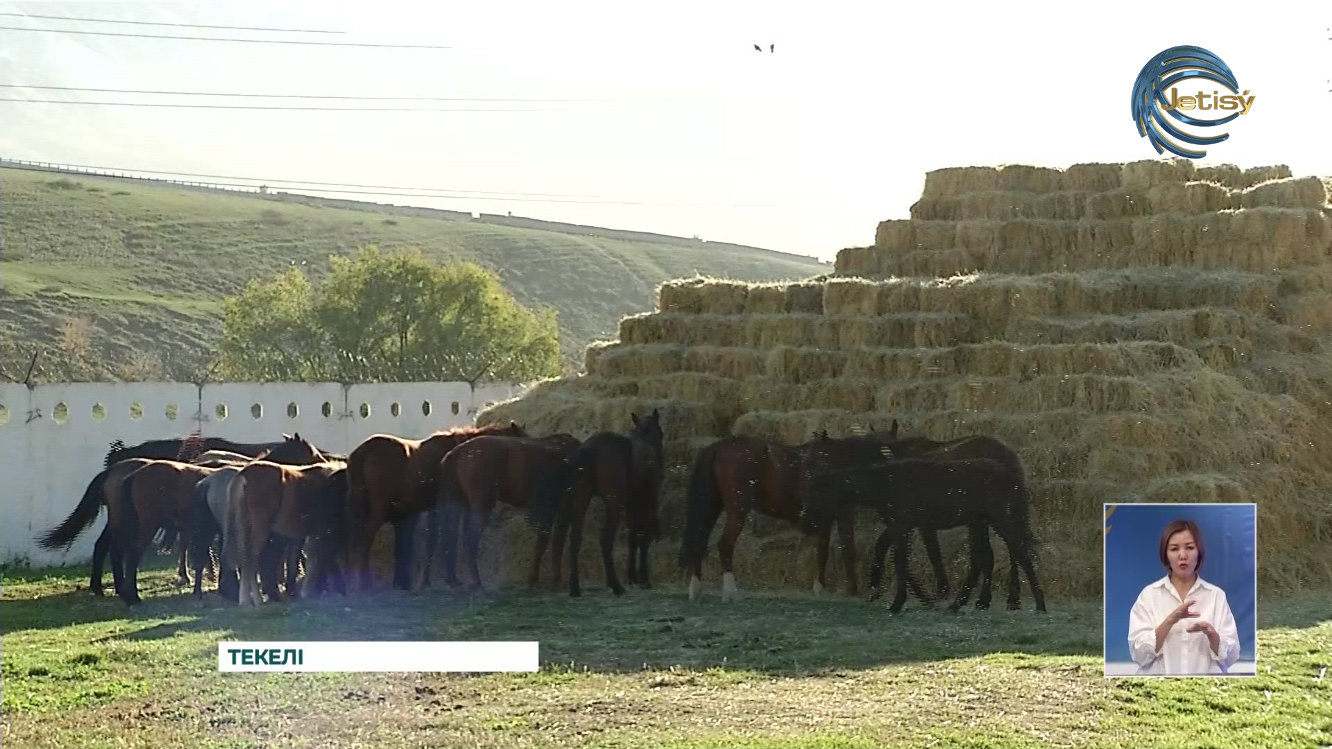 Мал шаруашылығы агрокешеніндегі маңызды сала