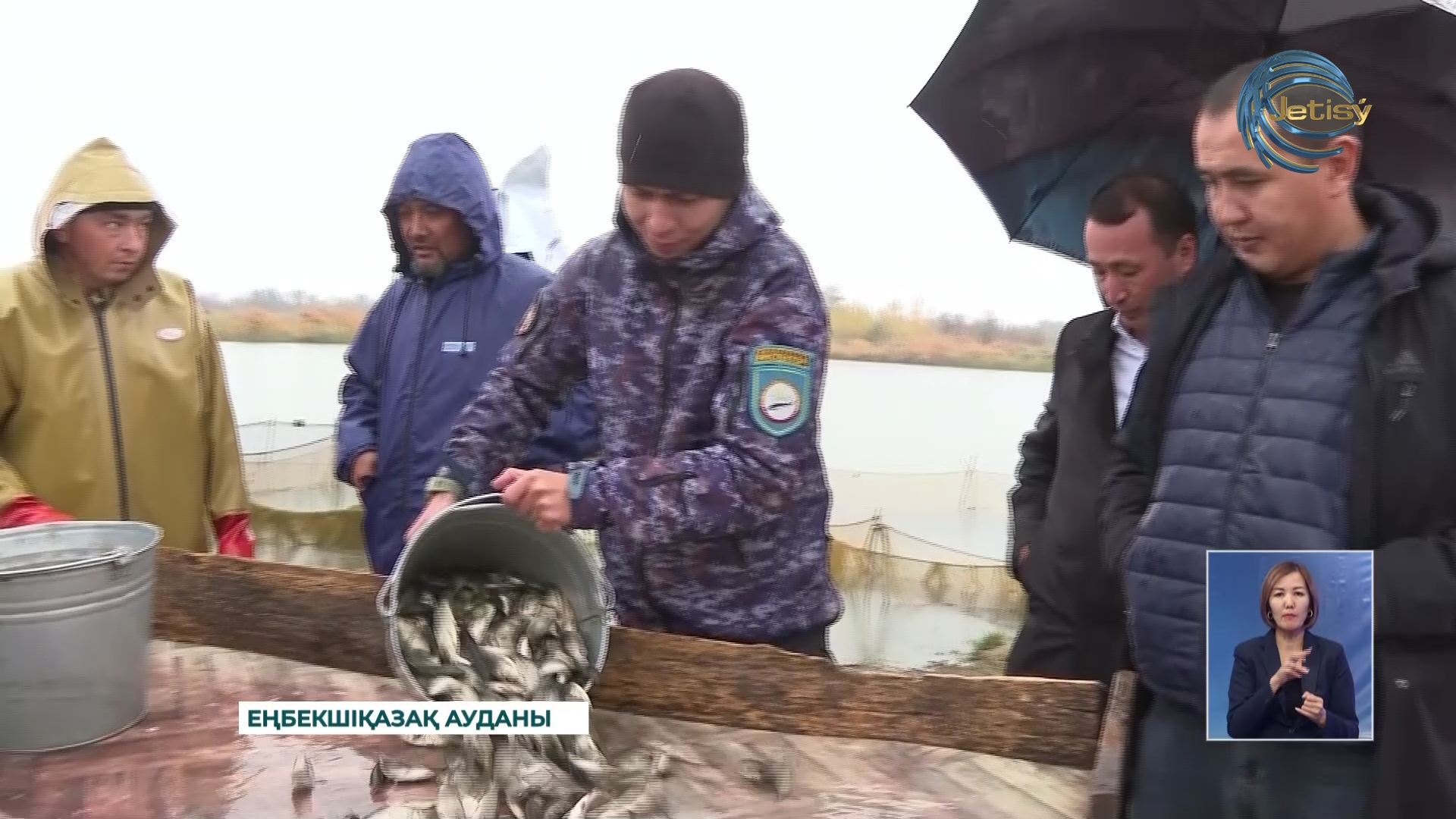 Қапшағайға 1 миллионнан аса балық шабағы жіберілді