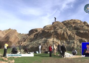 Организовало экоакцию «Антивандализм»