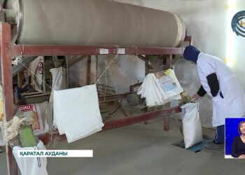 Жетісулық шаруалар күріш өңдеуді бастады