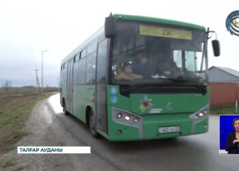 Талғарда жаңа автобус бағыты ашылды