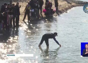 Қапшағай су қоймасына 50 мың балық жіберілді