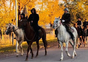 Саяси науқаннан шабандоздар да қалыс қалмады