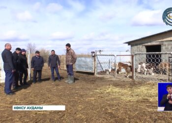 “Ауыл аманаты” жобасы қарқынды түрде жүргізілуде