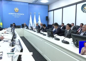 Алматы облысында «Аманат» партиясы 290 кәсіпкерге қолдау көрсеткен