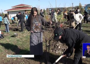 В Талдыкоргане посадили тысячи саженцев деревьев