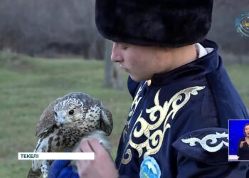 Құсбегілікке өзге ұлт өкілдерінің қызығушылығы артып келеді