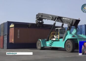 Қазақстан мен Қытай елі арасындағы тауар айналымы артты