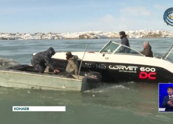 Теперь браконьерам уйти от ответственности стало еще сложнее