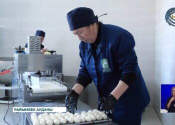 «Qarasaz Food» сүт зауыты қарқынды дамып келеді