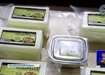 В селе Узынагаш Алматинской области начал работу небольшой сырный цех