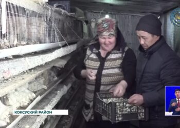 Гос. программа «Ауыл аманаты» успешно реализуется в Коксуском районе