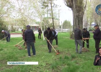 Жетісу облысында 70-ке жуық тазалық шарасы өтеді