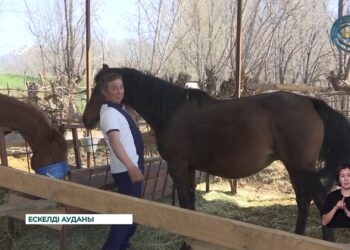 “Ат сатқан байымайды, атты сатып алған байиды”