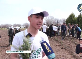 От чистого города – к зеленой планете