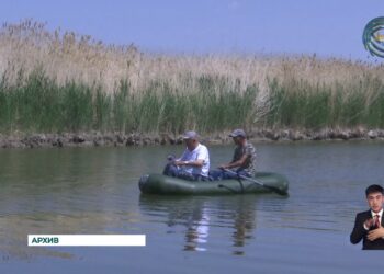 Нарушителям закона грозят штрафы и тюремные сроки