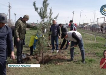 Кербұлақтықтар тазалыққа үлес қосты