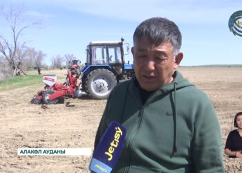 Алакөл ауданының шаруалары қант қызылшасының тұқымын себуді бастады