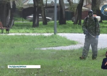 Кенеге қарсы заласыздандыру жұмыстары басталды