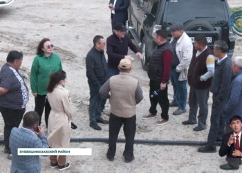 В селе Шелек Енбекшиказахского района, в населенном пункте стали гибнуть и животные