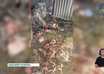 Көксу ауданы тұрғындары тері қабылдау пунктінің жабылғанын қалайды