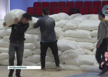 Жетісулықтар гуманитарлық көмек көрсетуде