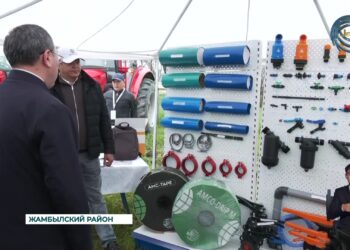 Более 440-ка тысяч учеников посадили семена редких видов деревьев