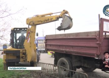 200 молодых деревьев пополнили зеленые насаждения Талдыкоргана