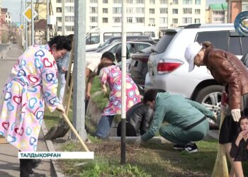 ОРТАҚ МӘСЕЛЕ / «ТАЗА ҚАЗАҚСТАН» АКЦИЯСЫ