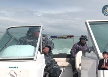 Подготовка к сезону нереста проходит в Алматинской, а также в области Жетысу