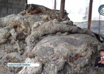 Жители села Балпык би требуют закрыть небольшое кожевенное производств