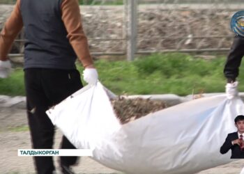 Было поручено озеленение и благоустройства территорий населенных пунктов