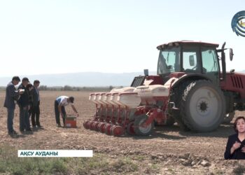 Ақсулық диқандар бел жазбай еңбек етіп жатыр