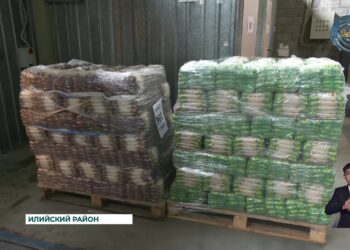 Из Алматинской области была отправлена очередная партия гуманитарной помощи