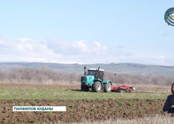 Панфилов ауданында егінжай күні өтті