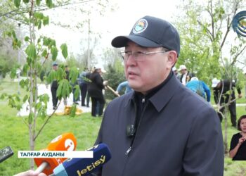 Алматы облысының әкімі ағаш отырғызды