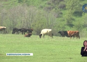 Жайылымдық жерімізден айрылып қалдық
