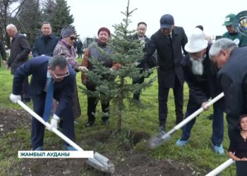Жамбыл ауданында су мен газ жүргізу жұмыстарына тұрғындардың көңілі толмайды