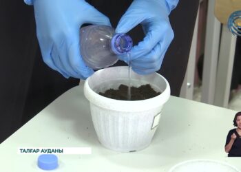 Талғар ауданында ағаш отырғызу сағаты өтті