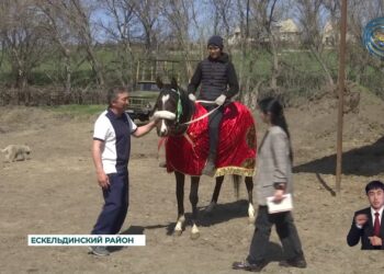 Проект «Ауыл аманаты» набирает популярность среди представителей сельскохозяйственного сектора