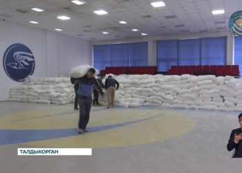 Жители Жетысу продолжают направлять гуманитарную помощь