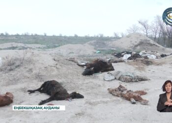 Кәріз желілерін салу жұмыстары 10 жылдан бері тоқтап тұр