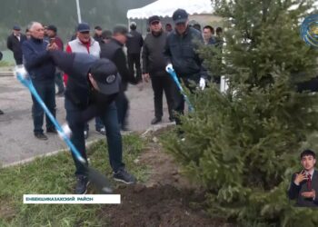 Очистку озера Иссык и близлежащей территории необходимо начать