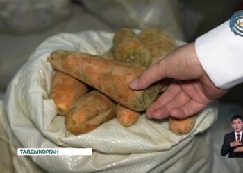 В Казахстане идет стабилизация цен на продукты питания