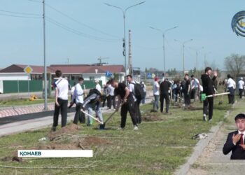 Алматы облысында «Таза Қазақстан» акциясы аяқталды