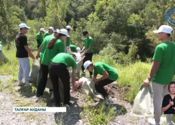 Алматы облысында “Таза Қазақстан” акциясы жалғасып жатыр