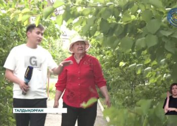 Талдықорғандық тұрғын белгілі журналист Бейсен Құранбектің құрметіне 49 түп ағаш отырғызыпты