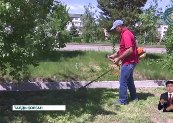 «Мөлдір бұлақ» апталығы Жетісу облысында жалғасып жатыр