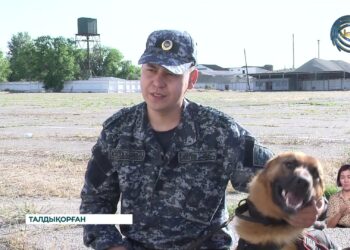 Полиция көп жағдайда иісшіл иттердің көмегіне жүгінеді