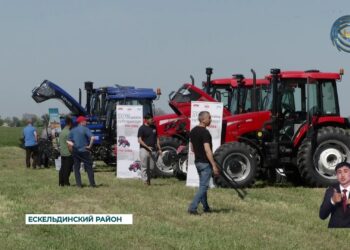 Область Жетысу занимает четвертое место в республике по сбору урожая зерновых культур